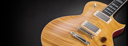 Фото Новое поступление электрогитар и бас гитар компании ESP!