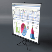 Фото Проекционные экраны итальянской фирмы SCREENLINE