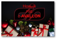Фото Новый год с AVALLON