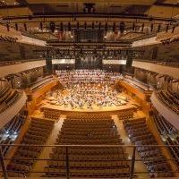 Фото City Theatrical