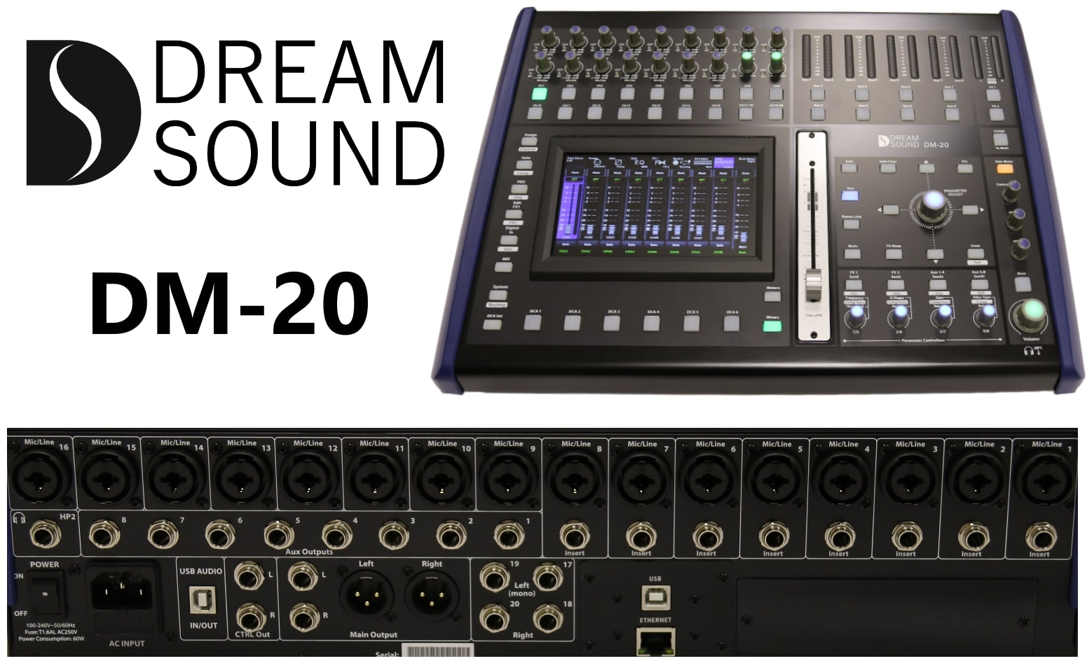 dm-20